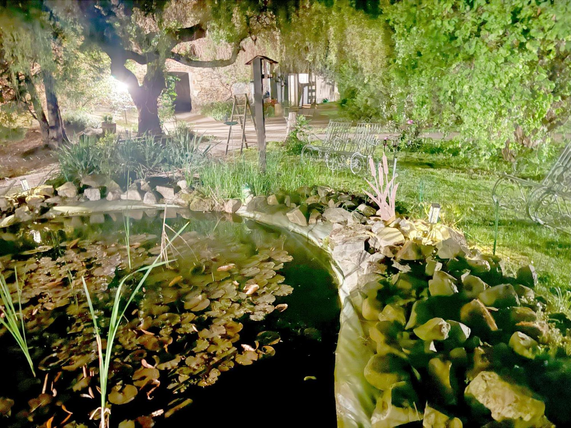Harzhotel Warnstedter Krug ターレ エクステリア 写真